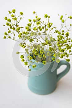 Small yellow green flowers in blue pitcher or jug on white background, top view, pastel colors, minimalist clean style