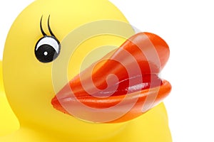 Small yellow plastic duck