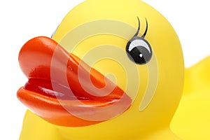 Small yellow plastic duck