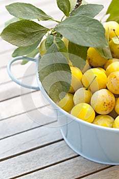 Small yellow plums