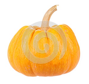 Small yellow pumpkin