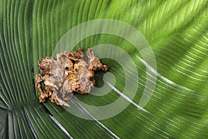 Smallanthus sonchifolius - Dehydrated yacon root on the green leaf