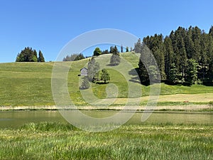 The smaller lake Schwendisee Hinter Schwendisee in the Obertoggenburg region, Wildhaus - Canton of St. Gallen, Switzerland photo