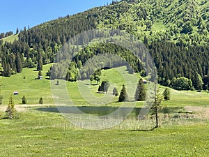 The smaller lake Schwendisee Hinter Schwendisee in the Obertoggenburg region, Wildhaus - Canton of St. Gallen, Switzerland photo