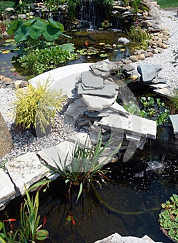 Smaller water garden ponds