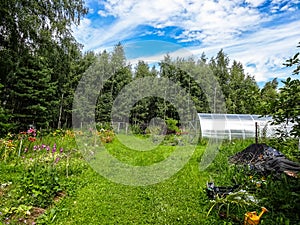 Smallholding in a private house (Kaluga region, Russia).