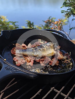 A smallmouth bass in a cast iron pan with bacon cooking over a fire