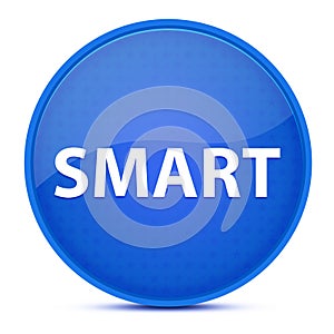 Smart aesthetic glossy blue round button abstract photo