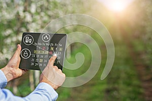 Smart agricultural technologies. Male farmer planning cultivation activities on calendar, using touch pad outdoors