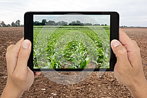 Smart agriculture with augmented reality technology futuristic c photo