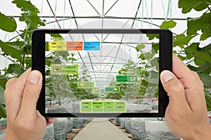 Smart agriculture concept, Agronomist or farmer use Artificial i