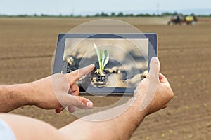 Smart agriculture. Farmer using tablet corn planting. Modern Agriculture concept.