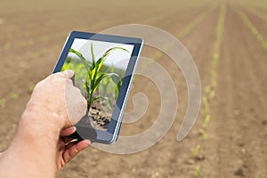 Smart agriculture. Farmer using tablet corn planting. Modern Agriculture concept.