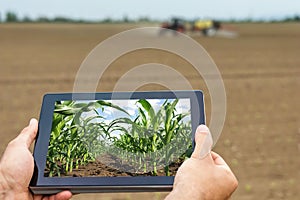 Smart agriculture. Farmer using tablet corn planting. Modern Agriculture concept.