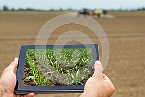 Smart agriculture. Farmer using tablet corn planting. Modern Agriculture concept.