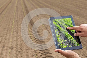 Smart agriculture. Farmer using tablet corn planting. Modern Agriculture concept.