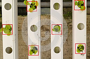 Smart agriculture futuristic concept, the seeing of robot farmers automation which programmed to work to collect vegetable and f