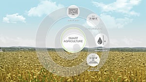 Smart agriculture information graphic icon, internet of things.1.