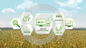 Smart agriculture Smart farming, hexagon information graphic icon, internet of things. 4th Industrial Revolution.3.