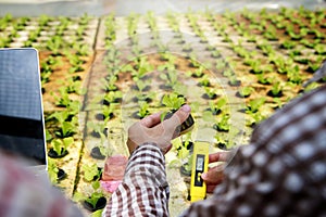 Smart agriculture technology concept - Farmer ckecking water ph value of organic hydroponic red oak in plant nursery farm. Smart