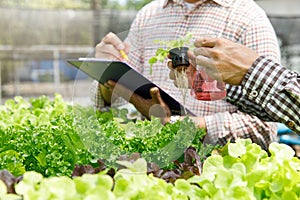 Smart agriculture technology concept - Farmer monitoring organic hydroponic red oak in plant nursery farm. Smart agriculture