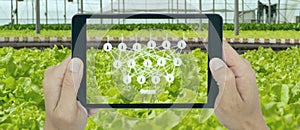 Smart agriculture with technoloty concept, farmer use deep learning with artificial intelligence to classification, regression, an photo