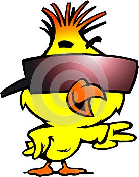 Smart chicken with cool sunglass photo