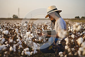 Smart cotton farmer checks the cotton field with tablet.
