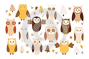 Smart curious owl and owlet forest bird cute birdie character with different plumage drawing set