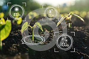Chytrý digitální zemědělství podle senzor 