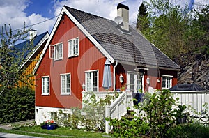 Smart European House photo