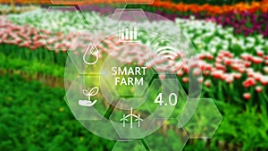 Smart farm, agriculture concept with infographics Smart farming and precision agriculture 4.0 with visual icon, digital technology