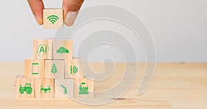 Smart farm or agriculture futuristic technology concept, Hand man put the icon connect, icon including wireless wifi, ai or artifi photo