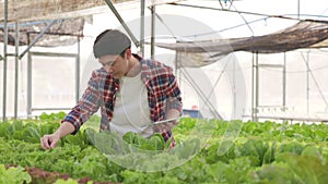 Smart farm and farm technology concept.Smart young asian farmer  using tablet to check quality