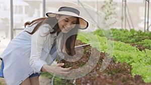 Smart farm and farm technology concept.Smart young asian farmer  using tablet to check quality