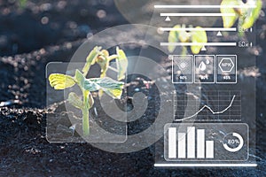 Smart farm technology for detection and control system of Plant sprout growing design infographics