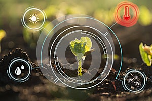 Smart farm technology: plant sprout growing in soil with infographic icons