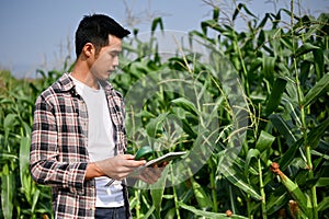 Smart farm worker using digital tablet to keep up the process in corn planting