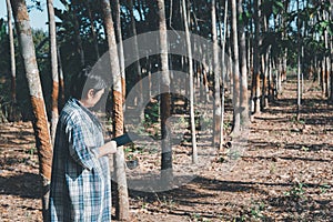 Smart farmer agriculturist Rubber tree plantation