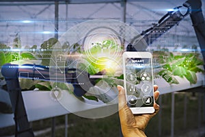 Smart farmer using smartphone with artificial intelligence or AI technology,system control robot,use robotic arm inspect quality photo