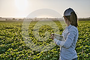 Smart farmer woman agronomist checks the field with tablet.