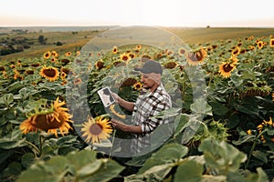 Smart farmer. Young agronomy is using smart digital tablet at sunflower field. Technology wireless device to study