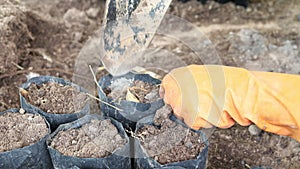 Smart farmers prepare soil for planting seedlings