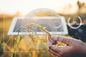 Smart farming Agricultural technology and organic agriculture Woman using the research tablet and studying the development