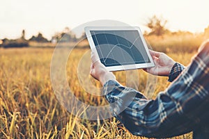 Smart farming Agricultural technology and organic agriculture Woman using the research tablet and studying the development