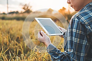 Smart farming Agricultural technology and organic agriculture Woman using the research tablet and studying the development