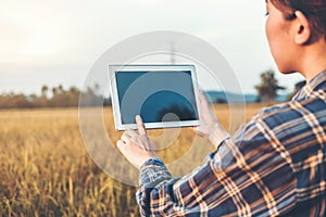 Smart farming Agricultural technology and organic agriculture Woman using the research tablet and studying the development of rice