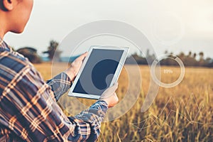 Smart farming Agricultural technology and organic agriculture Woman using the research tablet and studying the development of rice