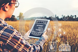 Smart farming Agricultural technology and organic agriculture Woman using the research tablet and studying the development of rice