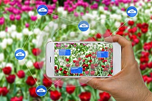 Smart Farming Agriculture Concept Using Cloud, Big Data, Augment